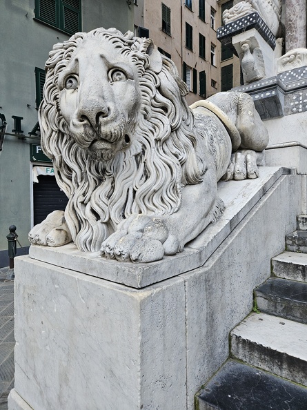 lion